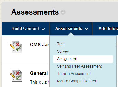 Assessment Menu, Assignment option