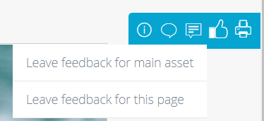leave feedback for main asset'.