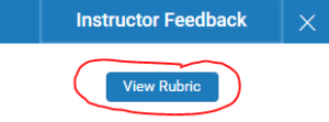 View rubric