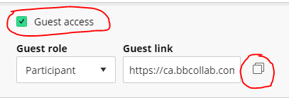 Collaborate guest access