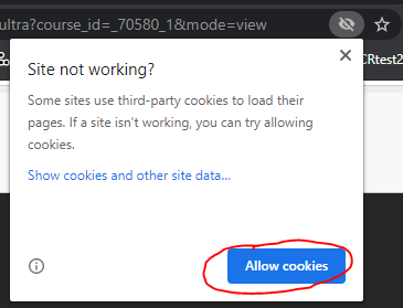 allow cookies button